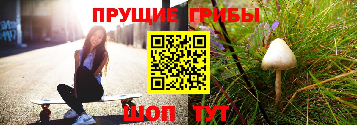 Томск  Галлюциногенные грибы Psilocybine cubensis  Вход с VPN 