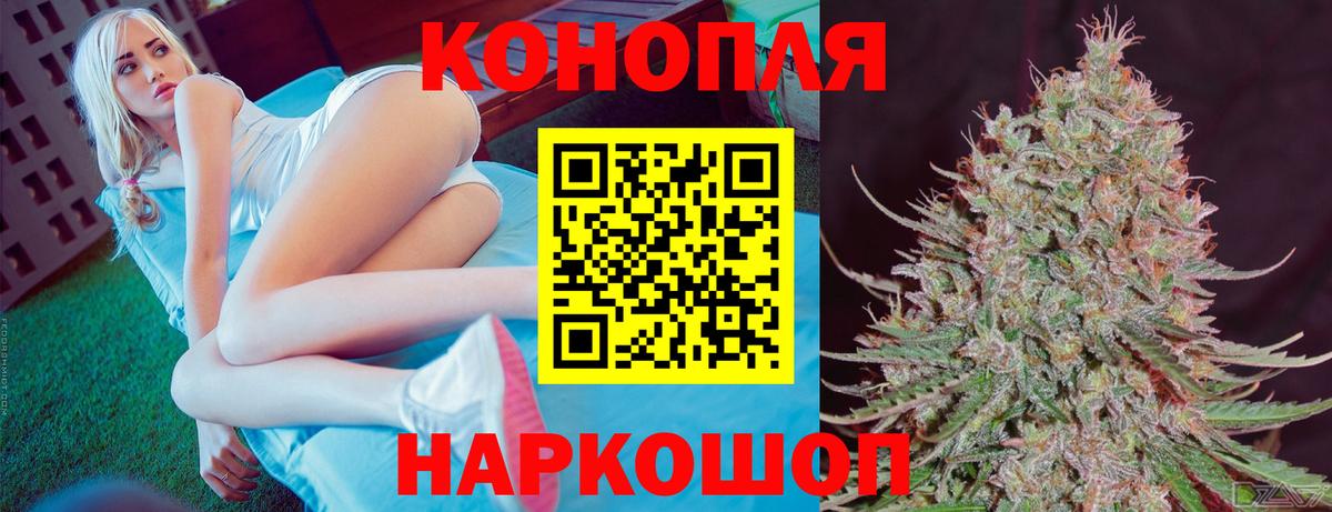 Канабис конопля Томск